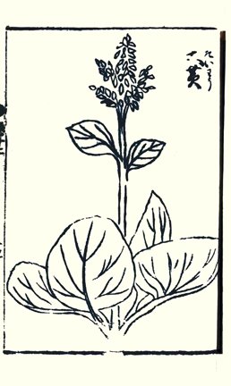 photo26.jpg
