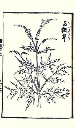 photo28.jpg