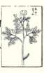 photo2_small.jpg