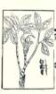 photo31_small.jpg