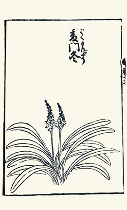 photo35.jpg