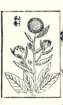 photo7_small.jpg