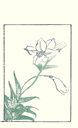 photo22.jpg