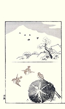 photo43.jpg
