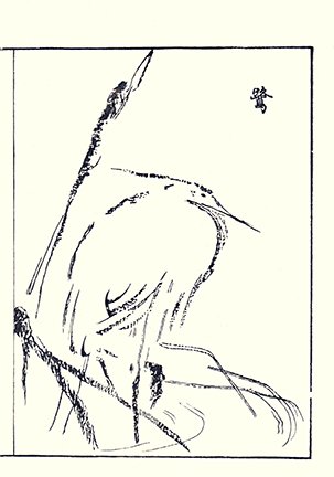 photo10.jpg