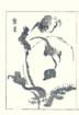 photo12_small.jpg