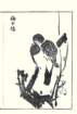 photo15_small.jpg
