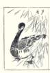photo17_small.jpg