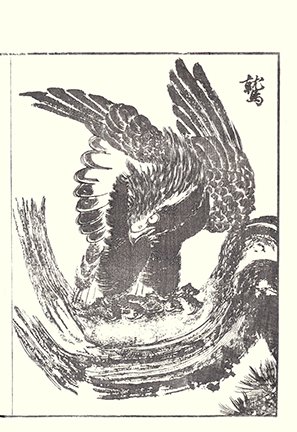 photo21.jpg
