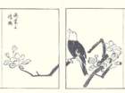 photo22_small.jpg