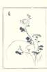 photo23_small.jpg