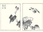 photo27_small.jpg