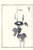 photo28_small.jpg
