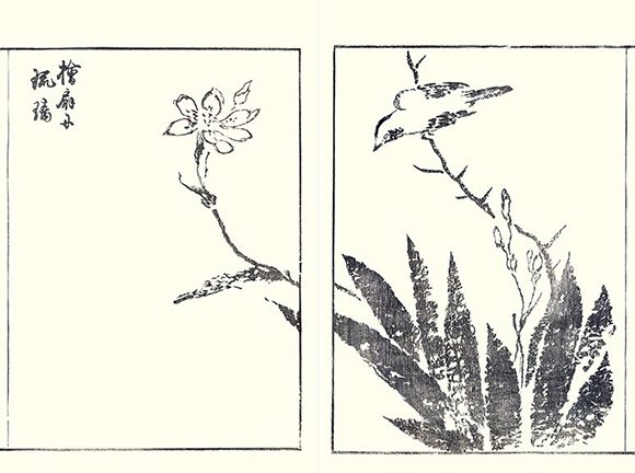 photo29.jpg