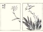 photo29_small.jpg