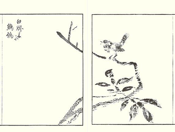 photo32.jpg