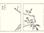 photo32_small.jpg
