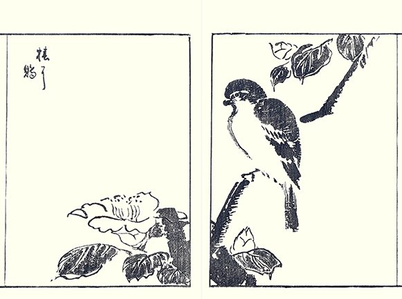 photo33.jpg