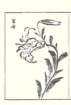 photo34_small.jpg