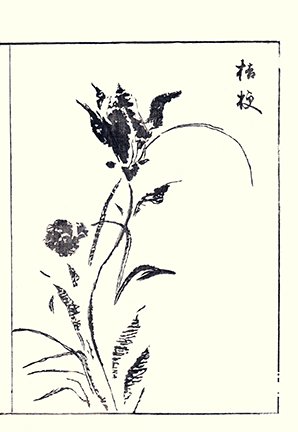 photo7.jpg