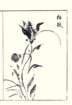 photo7_small.jpg