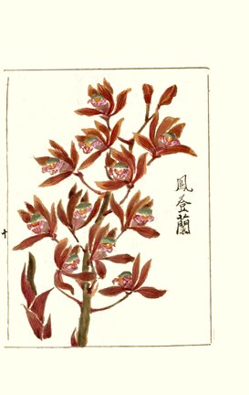 photo10.jpg