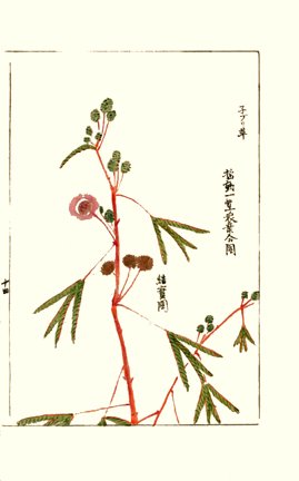 photo15.jpg