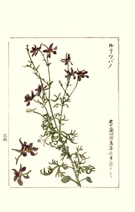 photo171.jpg