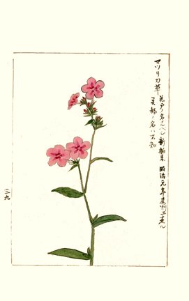photo175.jpg