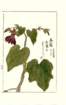 photo18_small.jpg