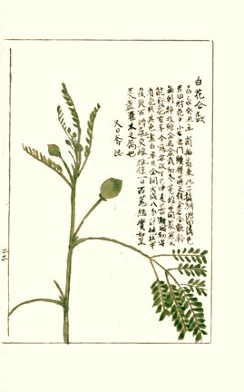 photo24.jpg