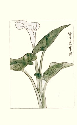 photo29.jpg