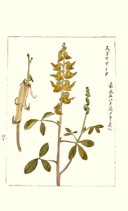 photo44.jpg