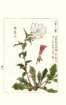 photo58_small.jpg