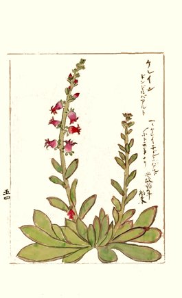 photo60.jpg