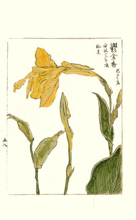 photo66.jpg