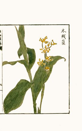 photo7.jpg