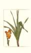 photo70_small.jpg