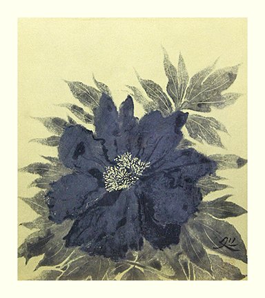 photo26.jpg