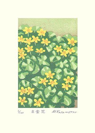 photo26.jpg