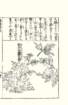photo37_small.jpg