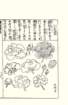 photo50_small.jpg