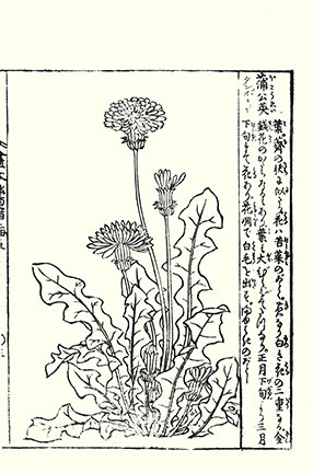 photo.jpg
