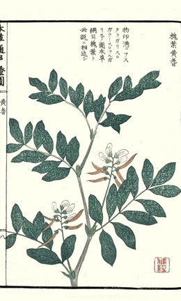 photo15.jpg