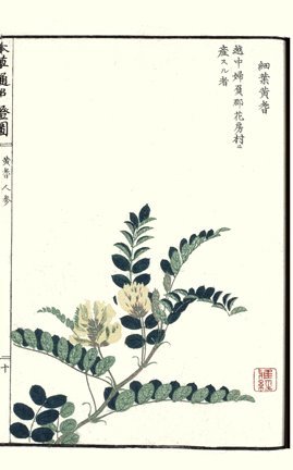 photo19.jpg