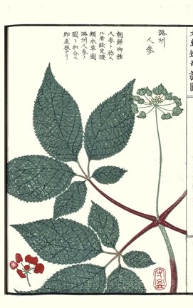 photo22.jpg