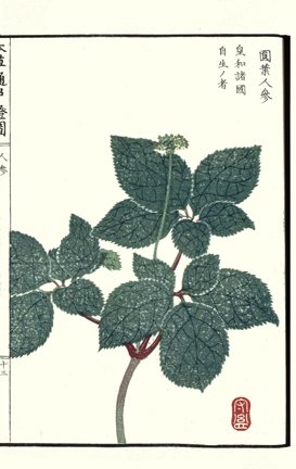 photo25.jpg