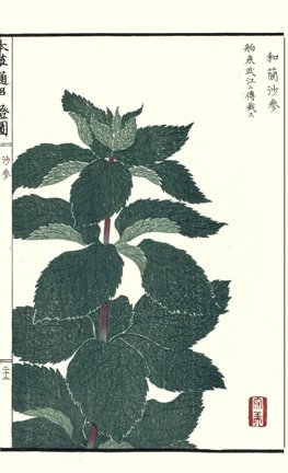photo39.jpg