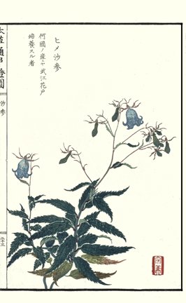 photo41.jpg