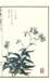 photo41_small.jpg